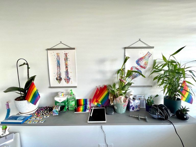 Doctor Sara's Work Area